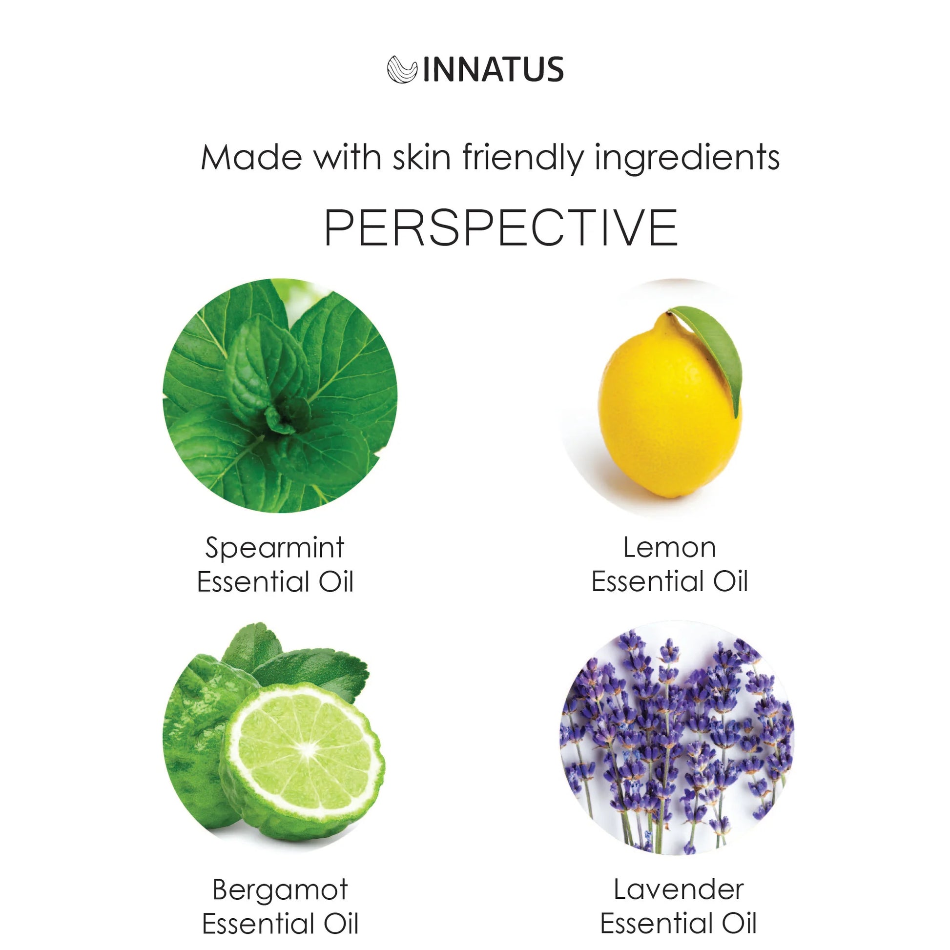 Aromatherapy Essential Oil Perceptive Mist